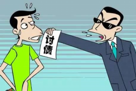 涉县为什么选择专业追讨公司来处理您的债务纠纷？