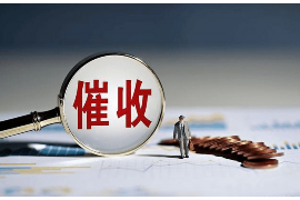 涉县专业讨债公司有哪些核心服务？